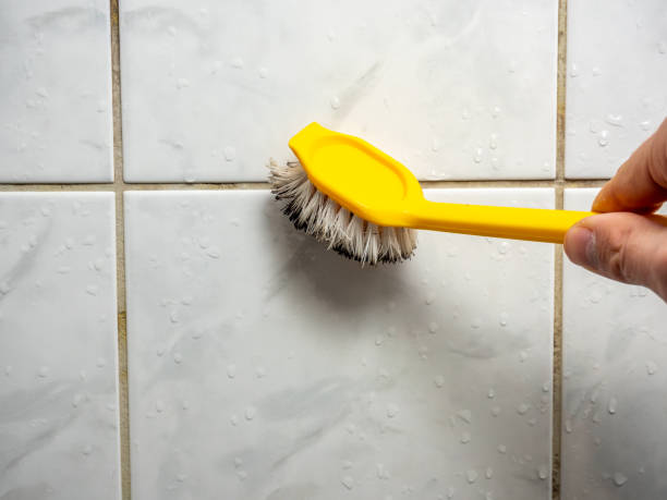 Certified Mold Removal in Signal Mountain, TN